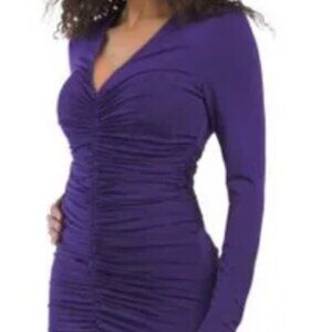 BCBG Purple Long Sleeve dress-with tag